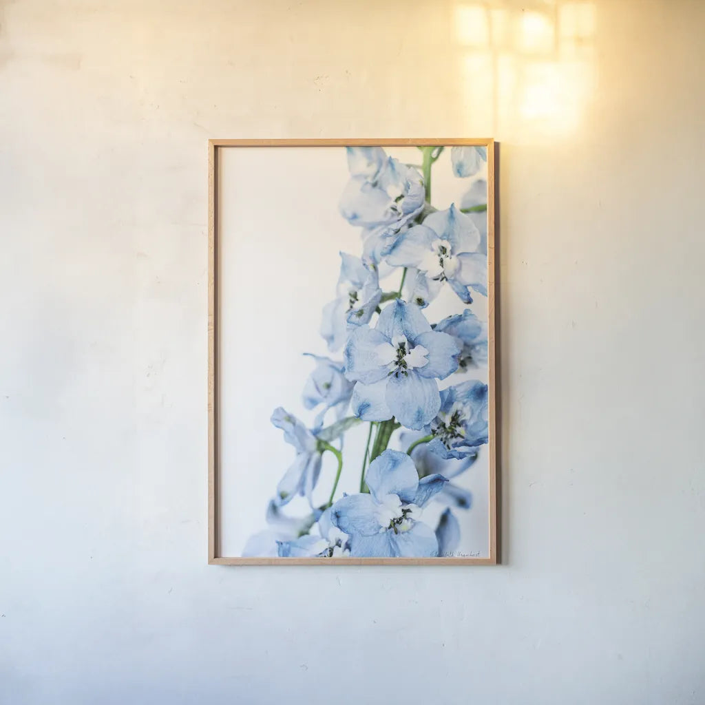 Freshly Picked Delphinium III by Elizabeth Urquhart. shown as a paper print in a natural frame. Available as a archival giclee rolled canvas, fine art paper, or poster print. SKU 67968h.