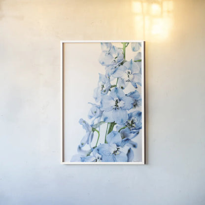Freshly Picked Delphinium III by Elizabeth Urquhart. shown as a paper print in a white frame. Available as a archival giclee rolled canvas, fine art paper, or poster print. SKU 67968h.