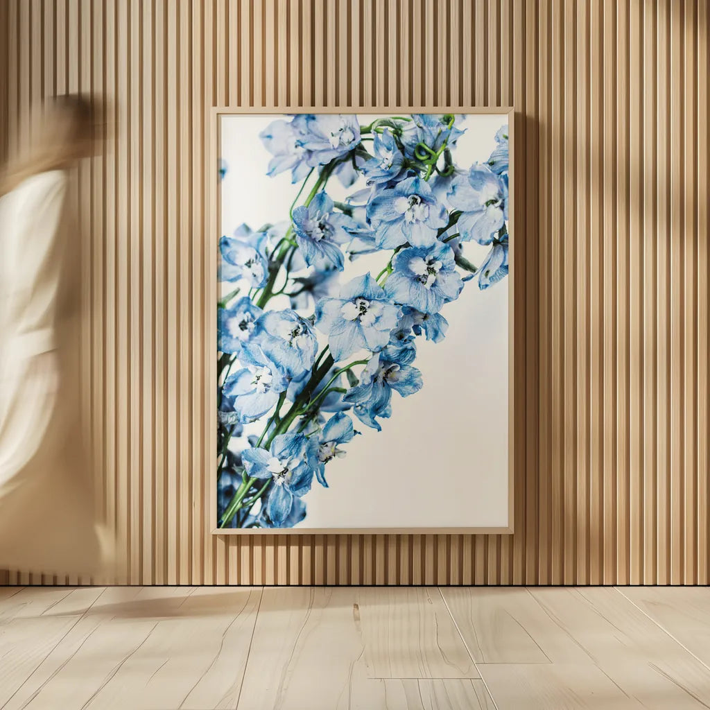 Freshly Picked Delphinium IV by Elizabeth Urquhart. shown as over sized large wall art. Available as an archival giclee rolled canvas, fine art paper, or poster print. SKU 67969h.