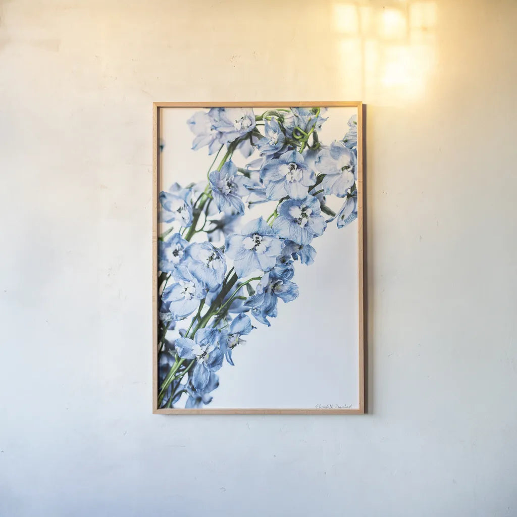 Freshly Picked Delphinium IV by Elizabeth Urquhart. shown as a paper print in a natural frame. Available as a archival giclee rolled canvas, fine art paper, or poster print. SKU 67969h.