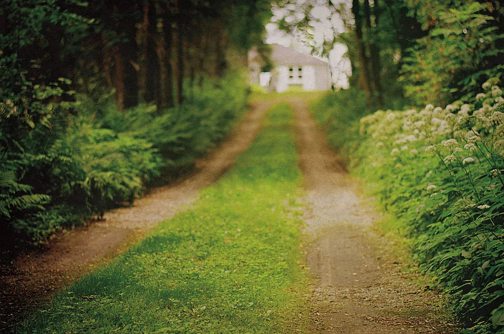 Going Home by Elizabeth Urquhart. SKU 10474i. Archival Giclee Fine art print for wall decor.