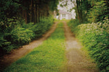 Going Home by Elizabeth Urquhart. SKU 10474i. Archival Giclee Fine art print for wall decor.