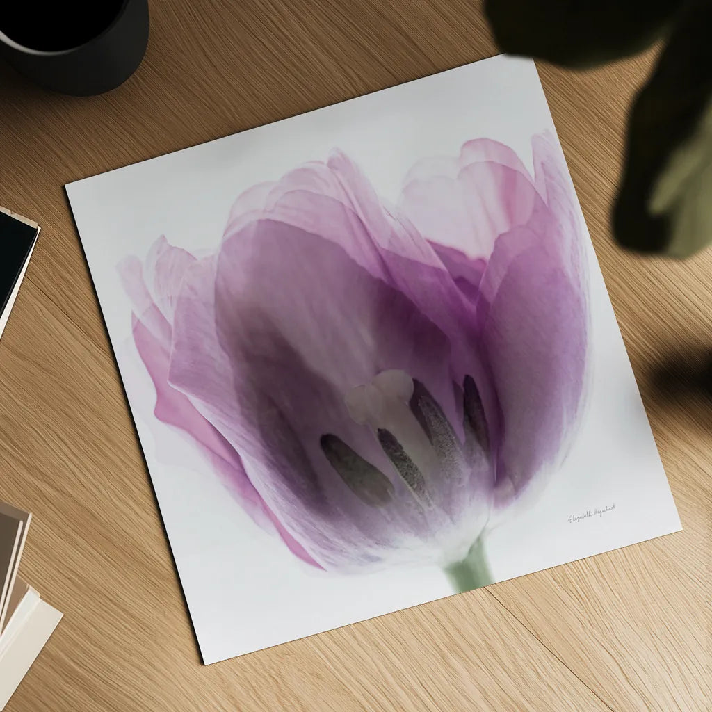 Inside Out I Crop by Elizabeth Urquhart. Shown as a detailed flat fine art print, highlighting archival giclee quality. Available as an archival giclee rolled canvas, fine art paper, or poster print. SKU 33346a.