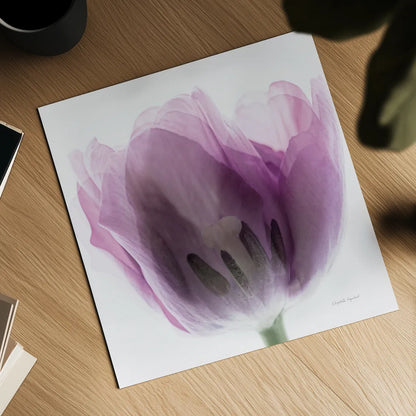 Inside Out I Crop by Elizabeth Urquhart. Shown as a detailed flat fine art print, highlighting archival giclee quality. Available as an archival giclee rolled canvas, fine art paper, or poster print. SKU 33346a.