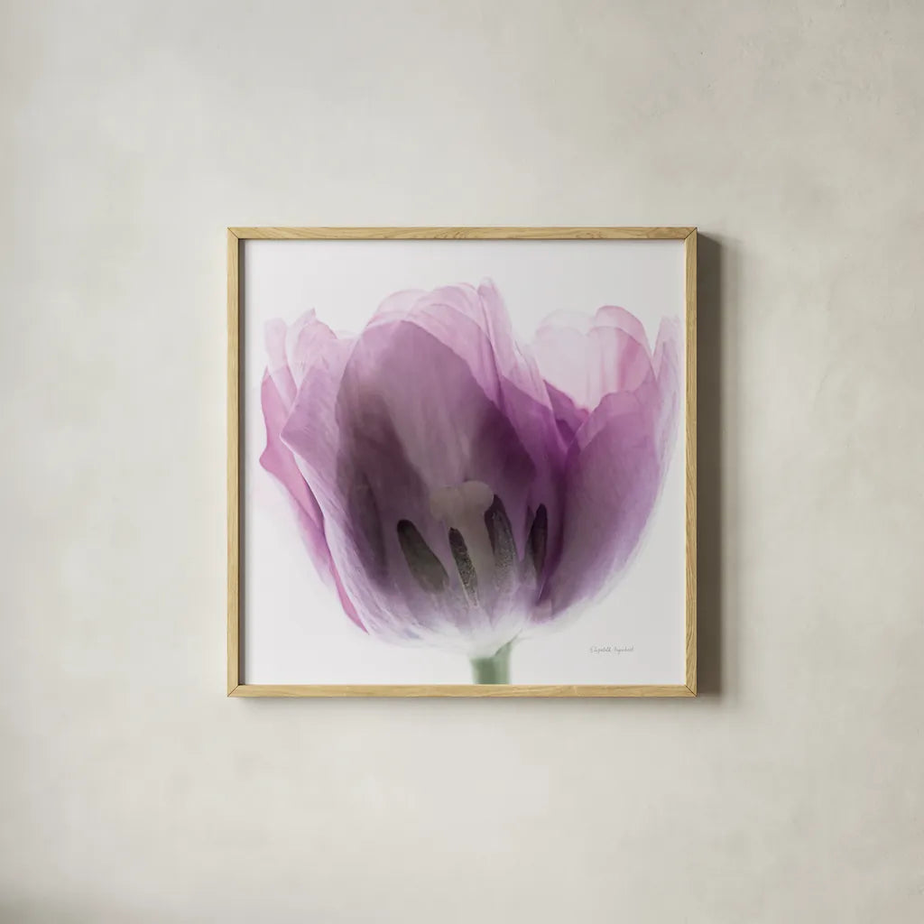 Inside Out I Crop by Elizabeth Urquhart. Shown in a natural wood glass frame for a timeless modern aesthetic. Available as an archival giclee rolled canvas, fine art paper, or poster print. SKU 33346a.