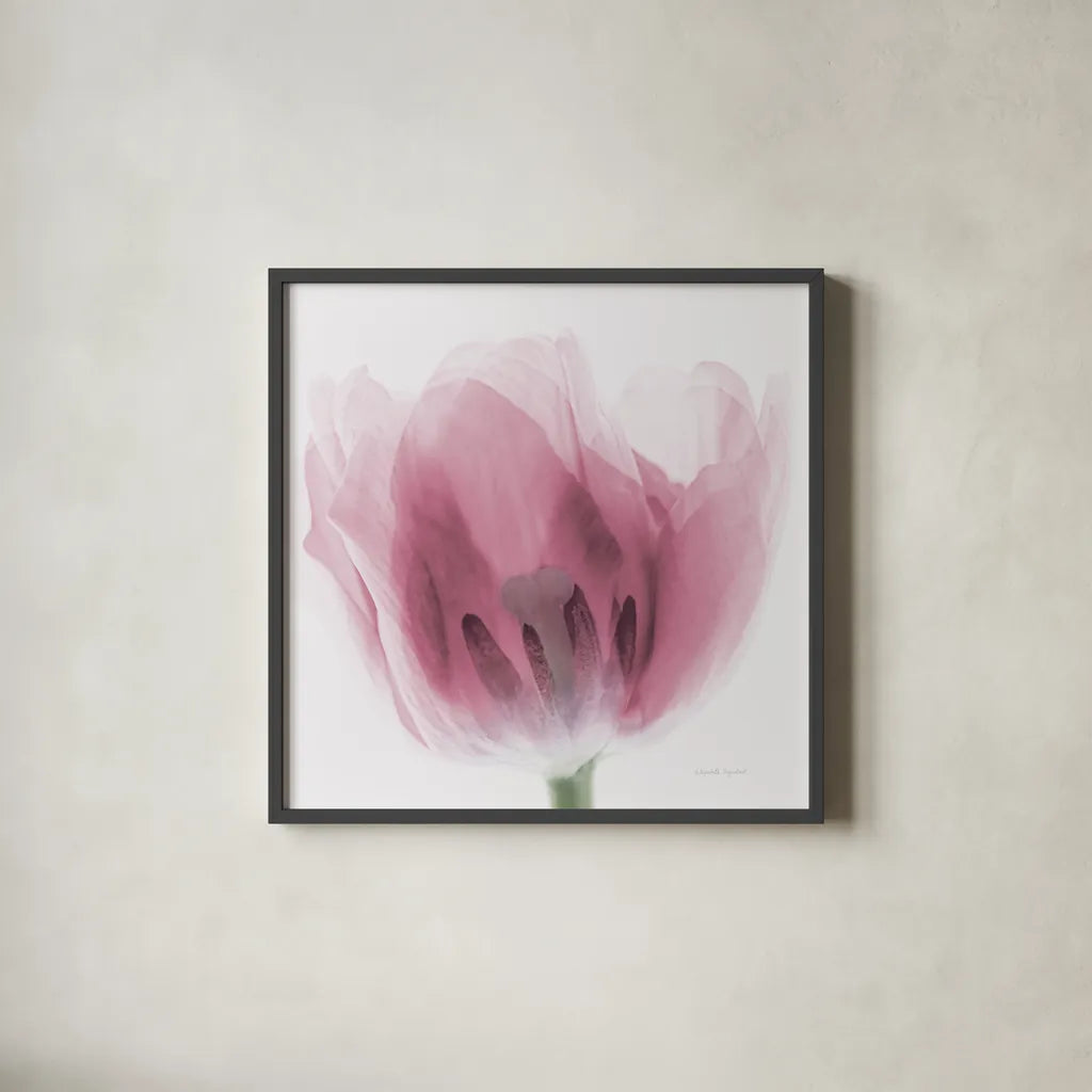 Inside Out I Pink Crop by Elizabeth Urquhart. Shown in a sleek black glass frame for a contemporary gallery look. Available as an archival giclee rolled canvas, fine art paper, or poster print. SKU 36458a.