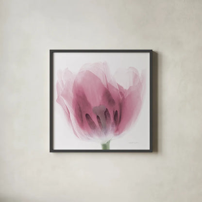 Inside Out I Pink Crop by Elizabeth Urquhart. Shown in a sleek black glass frame for a contemporary gallery look. Available as an archival giclee rolled canvas, fine art paper, or poster print. SKU 36458a.