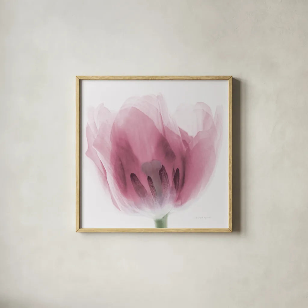 Inside Out I Pink Crop by Elizabeth Urquhart. Shown in a natural wood glass frame for a timeless modern aesthetic. Available as an archival giclee rolled canvas, fine art paper, or poster print. SKU 36458a.