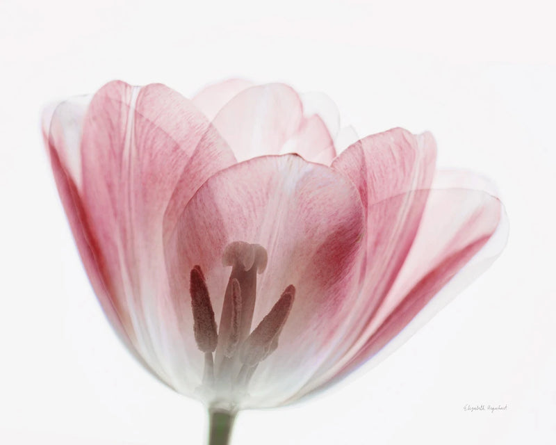 Inside Out III by Elizabeth Urquhart