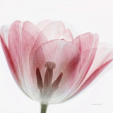 Inside Out III Crop by Elizabeth Urquhart. SKU 33348a. Archival Giclee Fine art print for wall decor.
