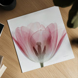 Inside Out III Crop by Elizabeth Urquhart. Shown as a detailed flat fine art print, highlighting archival giclee quality. Available as an archival giclee rolled canvas, fine art paper, or poster print. SKU 33348a.
