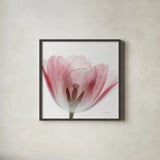 Inside Out III Crop by Elizabeth Urquhart. Shown in a sleek black glass frame for a contemporary gallery look. Available as an archival giclee rolled canvas, fine art paper, or poster print. SKU 33348a.