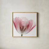 Inside Out III Crop by Elizabeth Urquhart. Shown in a natural wood glass frame for a timeless modern aesthetic. Available as an archival giclee rolled canvas, fine art paper, or poster print. SKU 33348a.