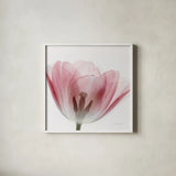 Inside Out III Crop by Elizabeth Urquhart. Shown in a crisp white glass frame for a clean and minimalist style. Available as an archival giclee rolled canvas, fine art paper, or poster print. SKU 33348a.
