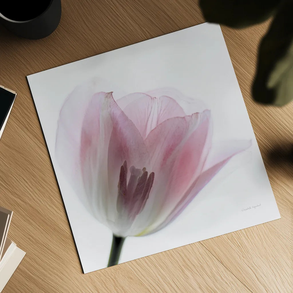 Inside Out IV Crop by Elizabeth Urquhart. Shown as a detailed flat fine art print, highlighting archival giclee quality. Available as an archival giclee rolled canvas, fine art paper, or poster print. SKU 33349a.