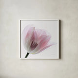 Inside Out IV Crop by Elizabeth Urquhart. Shown in a crisp white glass frame for a clean and minimalist style. Available as an archival giclee rolled canvas, fine art paper, or poster print. SKU 33349a.