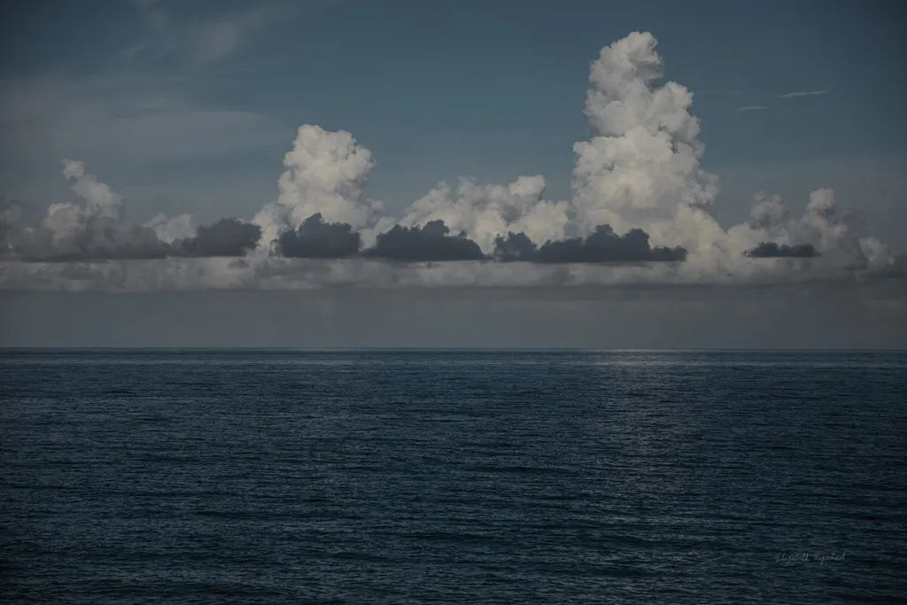 Into the Deep I by Elizabeth Urquhart. SKU 50743i. Archival Giclee Fine art print for wall decor.