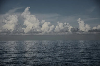 Into the Deep II by Elizabeth Urquhart. SKU 50744i. Archival Giclee Fine art print for wall decor.