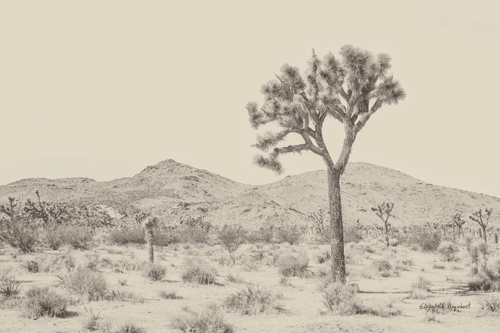 Joshua Tree I Neutral by Elizabeth Urquhart. SKU 68488i. Archival Giclee Fine art print for wall decor.