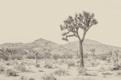 Joshua Tree I Neutral by Elizabeth Urquhart. SKU 68488i. Archival Giclee Fine art print for wall decor.