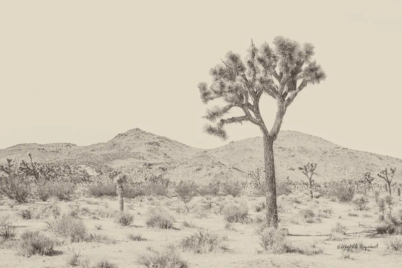 Joshua Tree I Neutral by Elizabeth Urquhart. SKU 68488i. Archival Giclee Fine art print for wall decor.