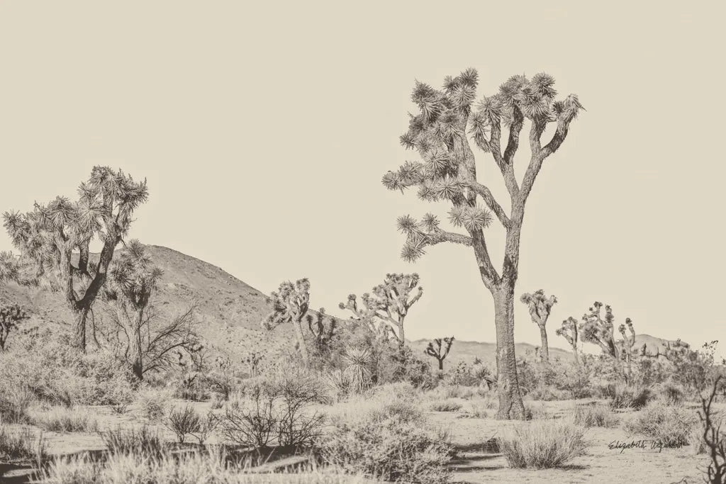 Joshua Tree II Neutral by Elizabeth Urquhart. SKU 68489i. Archival Giclee Fine art print for wall decor.