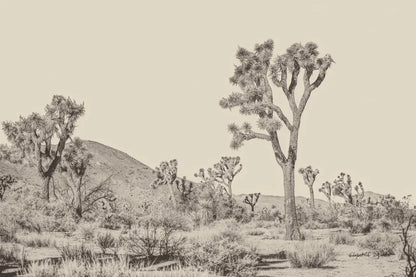 Joshua Tree II Neutral by Elizabeth Urquhart. SKU 68489i. Archival Giclee Fine art print for wall decor.