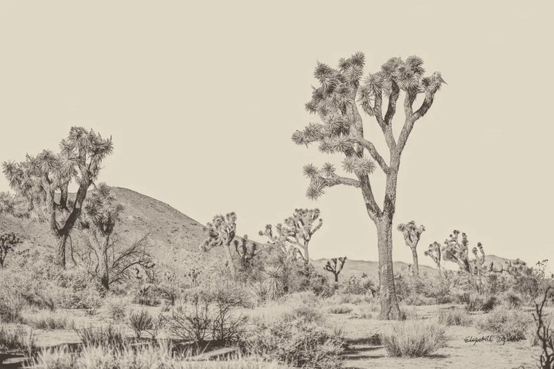 Joshua Tree II Neutral by Elizabeth Urquhart. SKU 68489i. Archival Giclee Fine art print for wall decor.