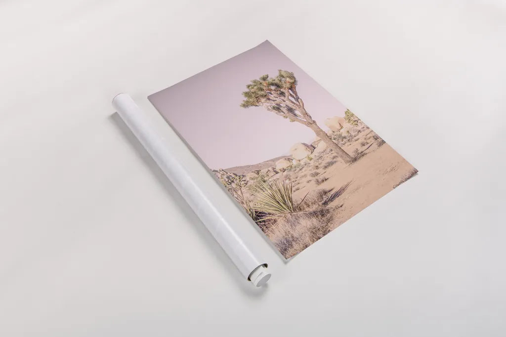 Joshua Tree III Blush by Elizabeth Urquhart. shown as a rolled paper print. Available as archival giclee rolled canvas, fine art paper, or poster print. SKU 68493h.