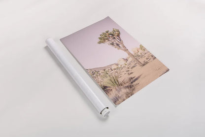 Joshua Tree III Blush by Elizabeth Urquhart. shown as a rolled paper print. Available as archival giclee rolled canvas, fine art paper, or poster print. SKU 68493h.