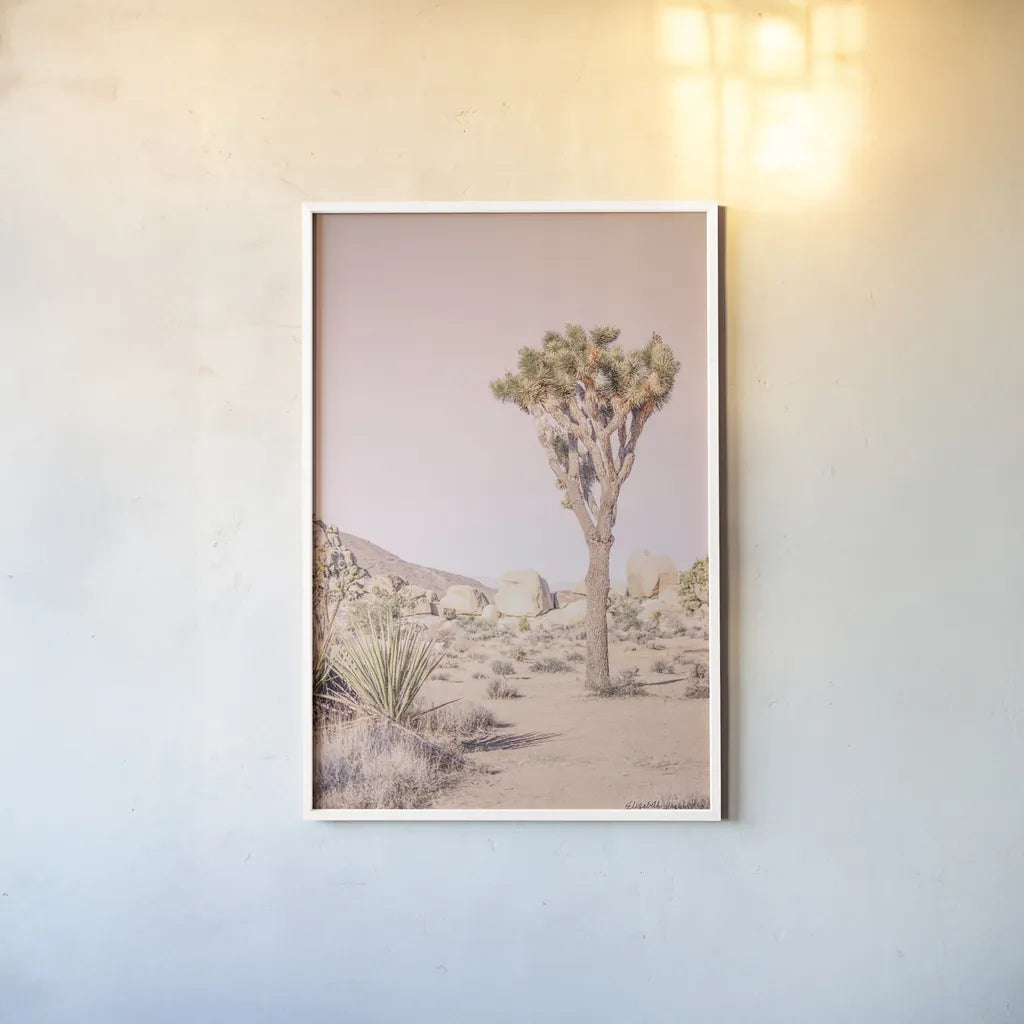 Joshua Tree III Blush by Elizabeth Urquhart. shown as a paper print in a white frame. Available as a archival giclee rolled canvas, fine art paper, or poster print. SKU 68493h.