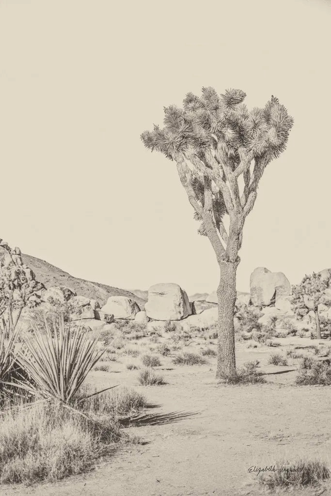 Joshua Tree III Neutral by Elizabeth Urquhart. SKU 68490h. Archival Giclee Fine art print for wall decor.