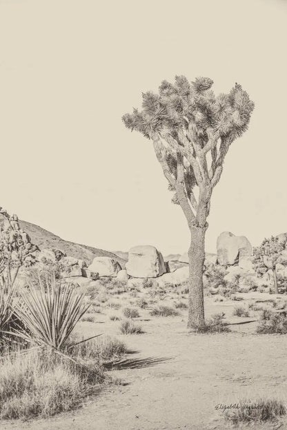 Joshua Tree III Neutral by Elizabeth Urquhart. SKU 68490h. Archival Giclee Fine art print for wall decor.
