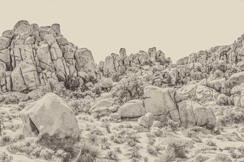Joshua Tree V Neutral by Elizabeth Urquhart. SKU 68492i. Archival Giclee Fine art print for wall decor.