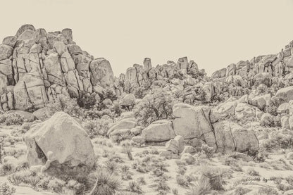 Joshua Tree V Neutral by Elizabeth Urquhart. SKU 68492i. Archival Giclee Fine art print for wall decor.