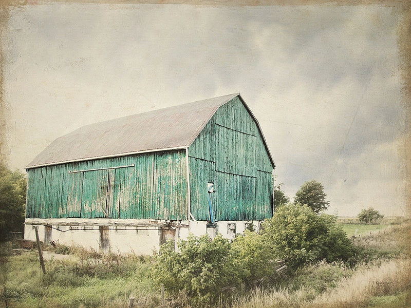 Late Summer Barn I Crop Vintage by Elizabeth Urquhart