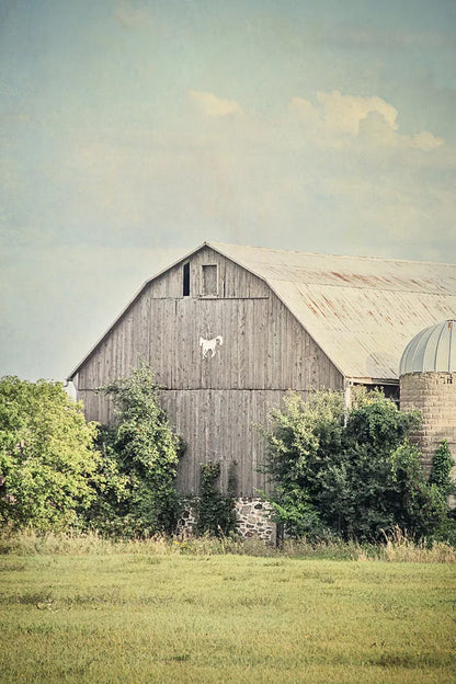 Late Summer Barn II by Elizabeth Urquhart. SKU 30334h. Archival Giclee Fine art print for wall decor.