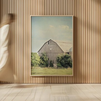 Late Summer Barn II by Elizabeth Urquhart. shown as over sized large wall art. Available as an archival giclee rolled canvas, fine art paper, or poster print. SKU 30334h.
