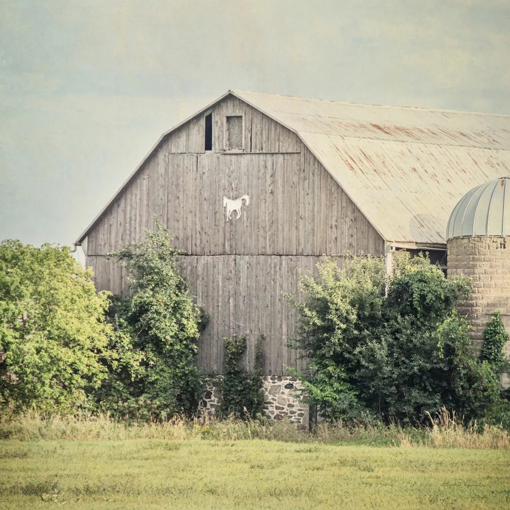 Late Summer Barn II Crop by Elizabeth Urquhart. SKU 30334a. Archival Giclee Fine art print for wall decor.