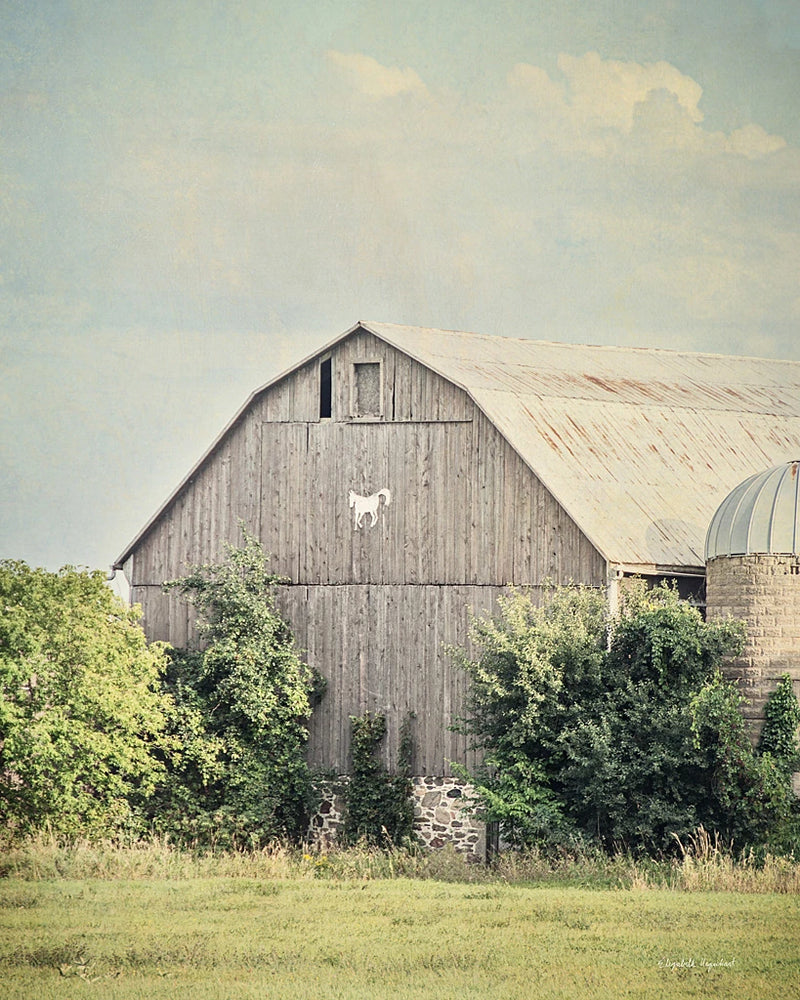 Late Summer Barn II Crop by Elizabeth Urquhart