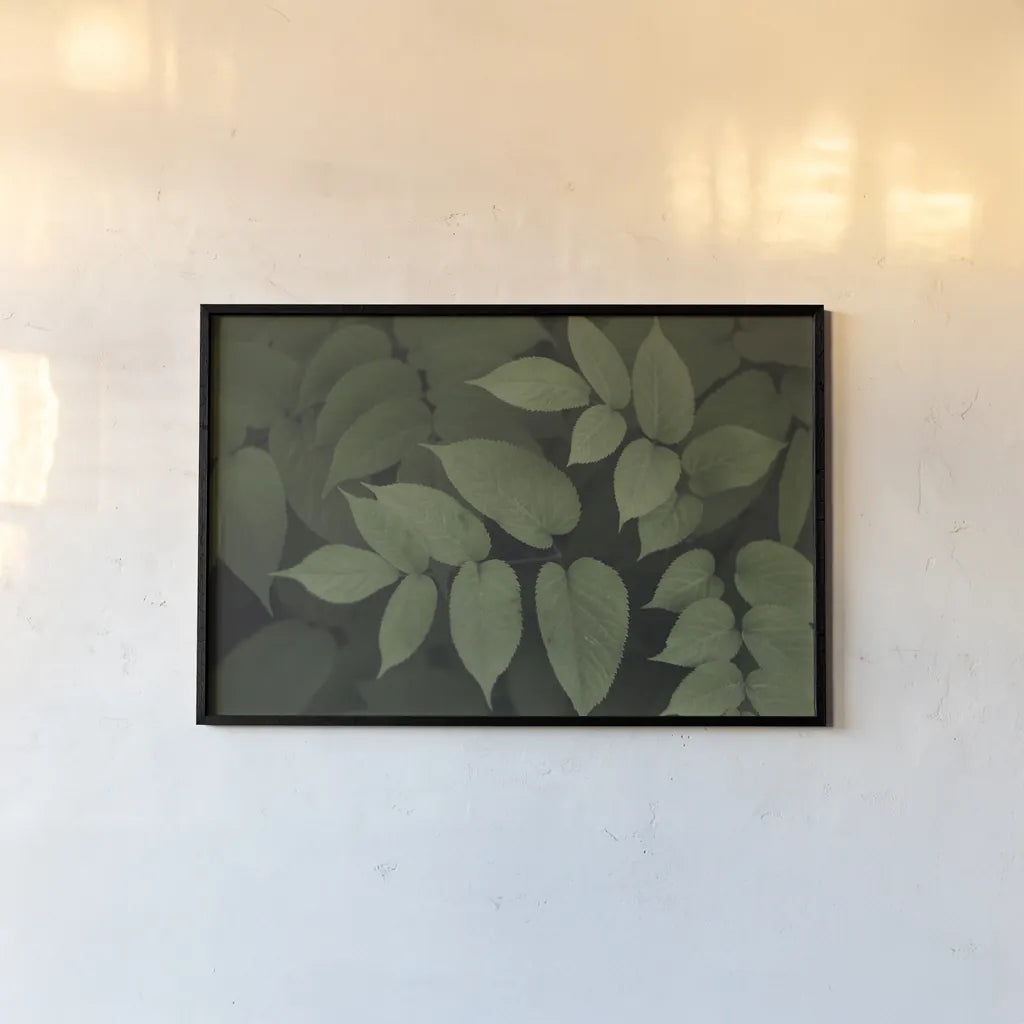 Leafy II by Elizabeth Urquhart. shown as a paper print in a black flame. Available as a archival giclee rolled canvas, fine art paper, or poster print. SKU 50719i.
