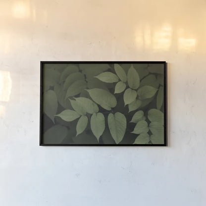 Leafy II by Elizabeth Urquhart. shown as a paper print in a black flame. Available as a archival giclee rolled canvas, fine art paper, or poster print. SKU 50719i.