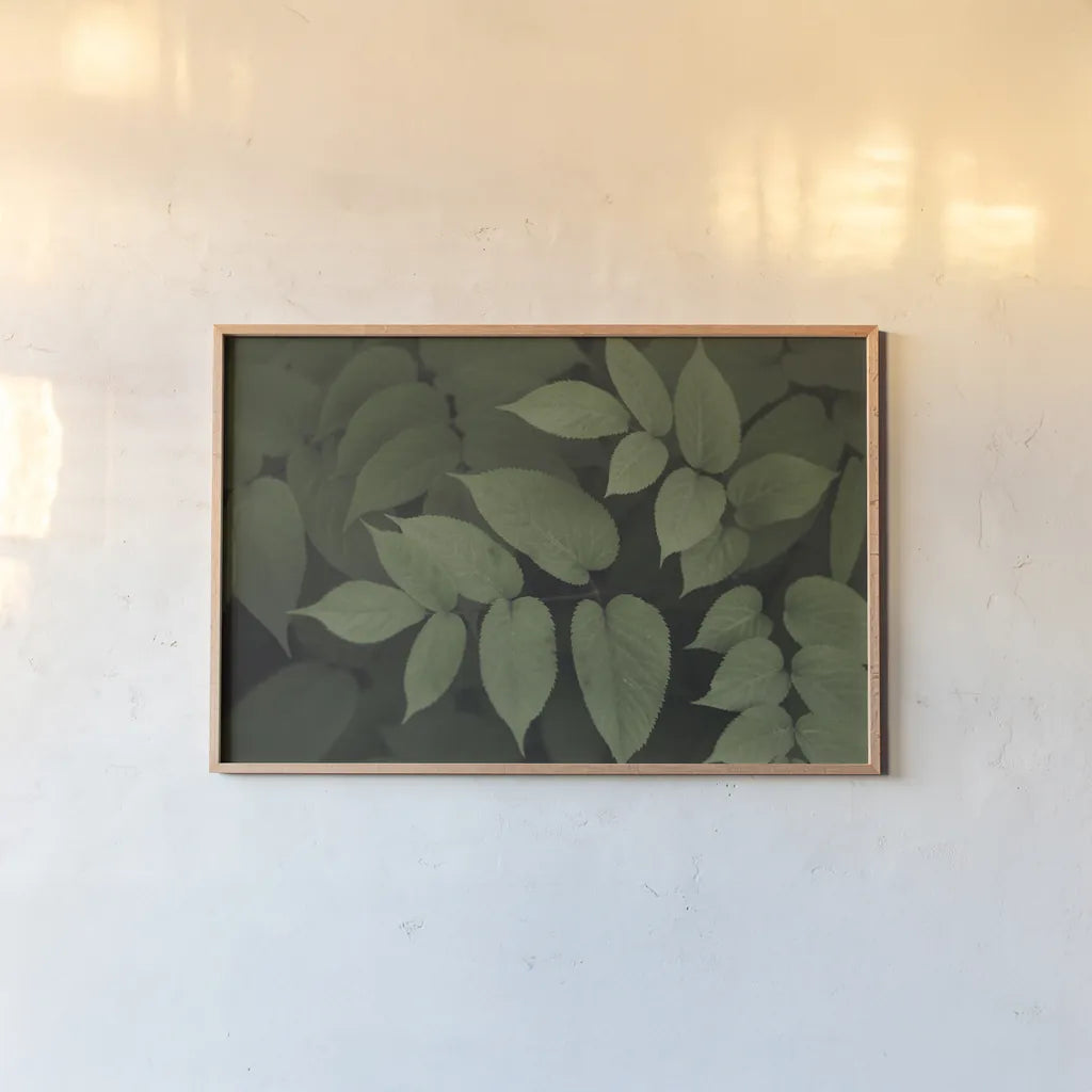 Leafy II by Elizabeth Urquhart. shown as a paper print in a natural frame. Available as a archival giclee rolled canvas, fine art paper, or poster print. SKU 50719i.