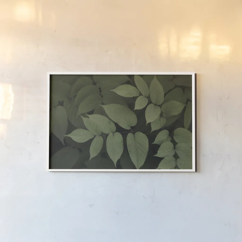 Leafy II by Elizabeth Urquhart. shown as a paper print in a white frame. Available as a archival giclee rolled canvas, fine art paper, or poster print. SKU 50719i.