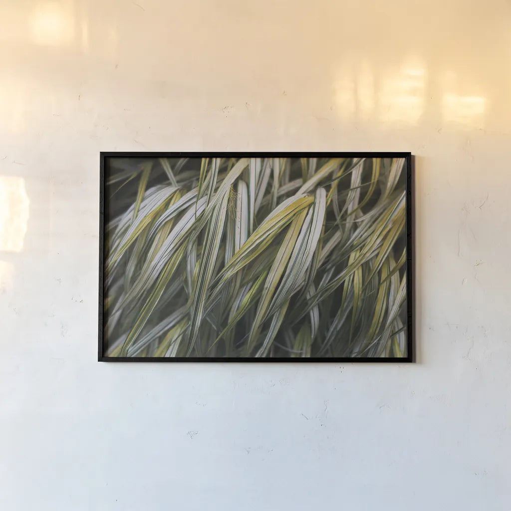 Leafy III by Elizabeth Urquhart. shown as a paper print in a black flame. Available as a archival giclee rolled canvas, fine art paper, or poster print. SKU 50720i.