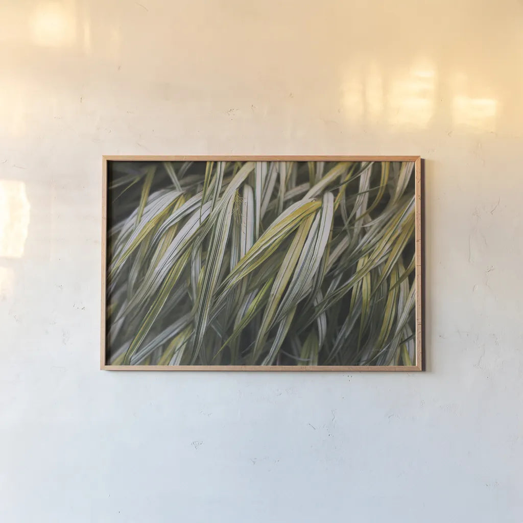 Leafy III by Elizabeth Urquhart. shown as a paper print in a natural frame. Available as a archival giclee rolled canvas, fine art paper, or poster print. SKU 50720i.