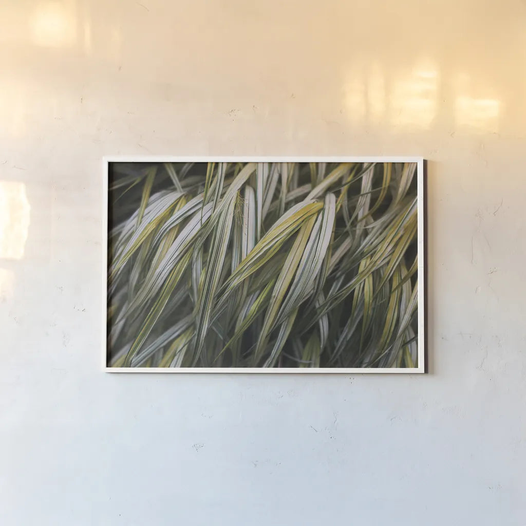 Leafy III by Elizabeth Urquhart. shown as a paper print in a white frame. Available as a archival giclee rolled canvas, fine art paper, or poster print. SKU 50720i.