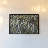 Leafy IV by Elizabeth Urquhart. shown as a paper print in a black flame. Available as a archival giclee rolled canvas, fine art paper, or poster print. SKU 50721i.