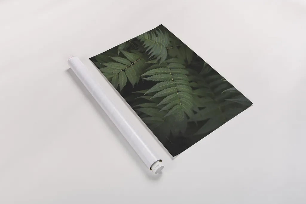 Leafy V by Elizabeth Urquhart. shown as a rolled paper print. Available as archival giclee rolled canvas, fine art paper, or poster print. SKU 50722i.