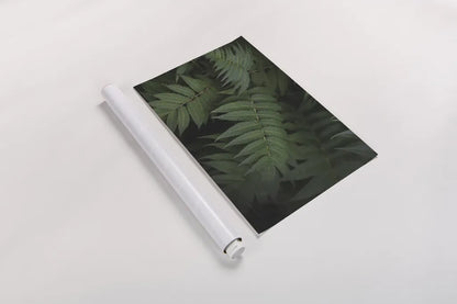 Leafy V by Elizabeth Urquhart. shown as a rolled paper print. Available as archival giclee rolled canvas, fine art paper, or poster print. SKU 50722i.